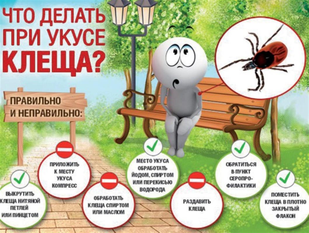 Клещи заразили троих костромичей опасными заболеваниями. 