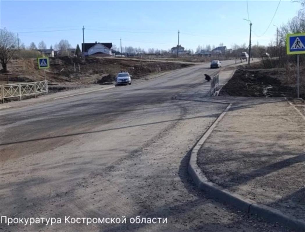 Костромские полицейские разыскали водителя, который сбил женщину с ребёнком 
