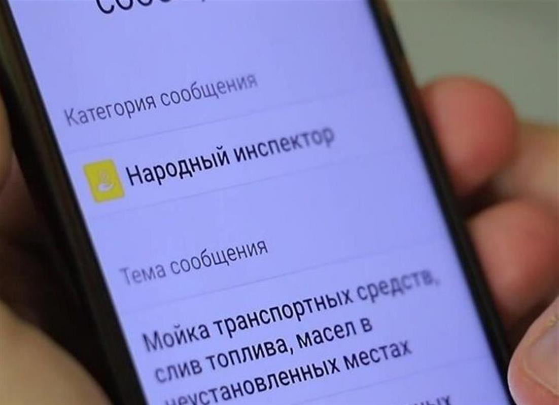 «Народный инспектор» помогает костромичам бороться с бродячими собаками
