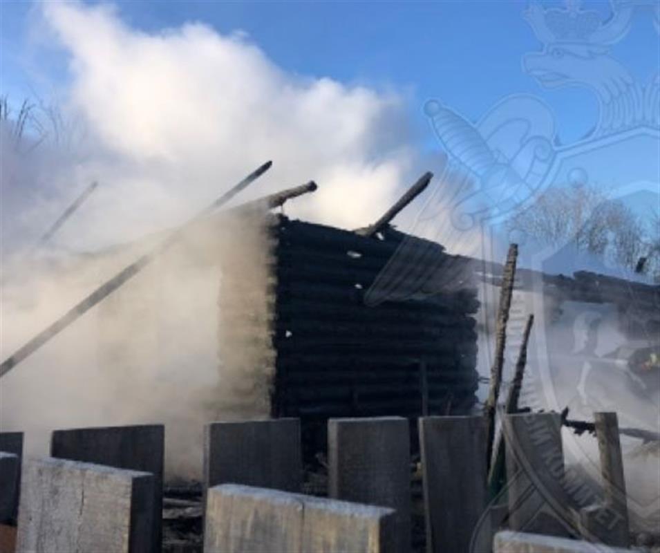 В Костромской области при пожаре в частном доме погиб пожилой мужчина