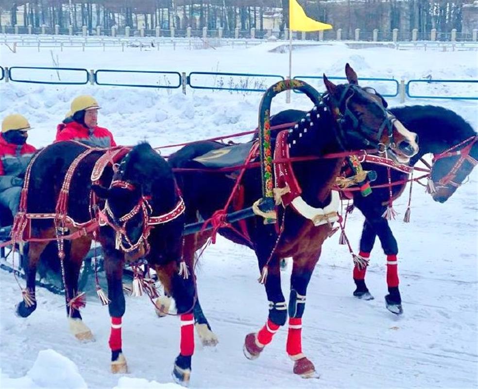 Победителем чемпионата русских троек стал костромич Евгений Морозов 