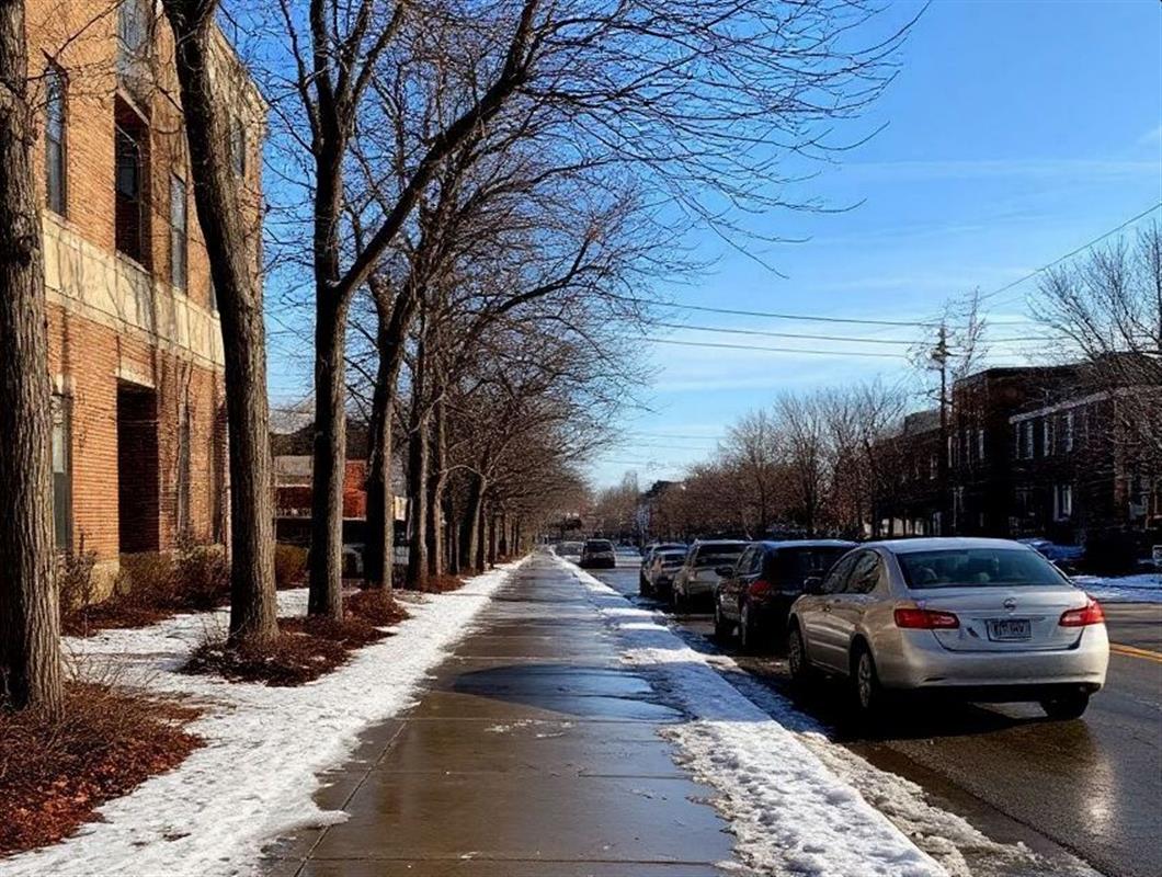 О гололёде у домов и зданий костромичи могут сообщить на «горячую линию»