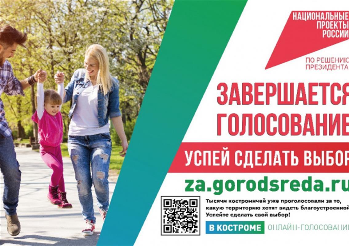Завершается голосование за объекты благоустройства: костромичи ещё могу сделать выбор