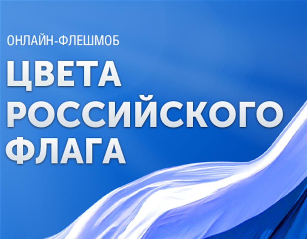 Костромичи изготовят триколоры для всероссийской онлайн-акции 
