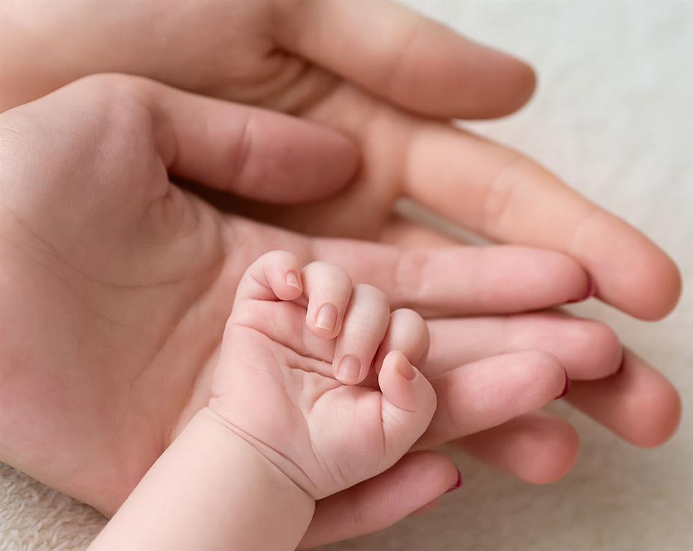 Подготовку к строительству роддома в Костроме обсудили в областной администрации 