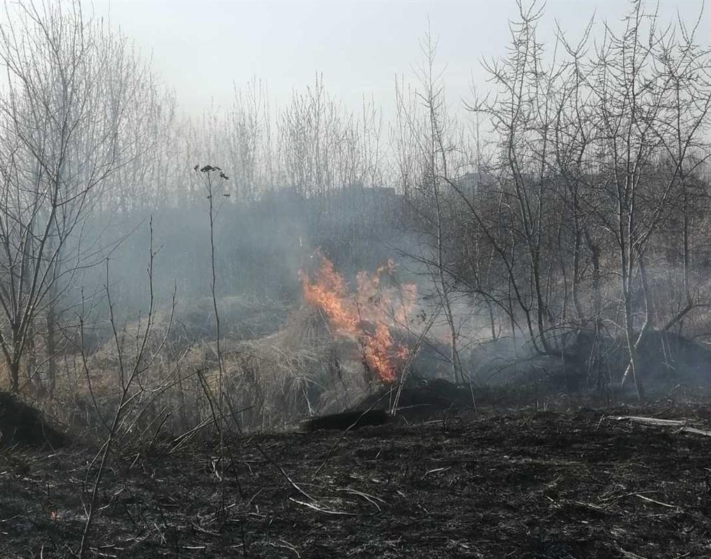 В Костромской области зарегистрированы первые случаи пала травы