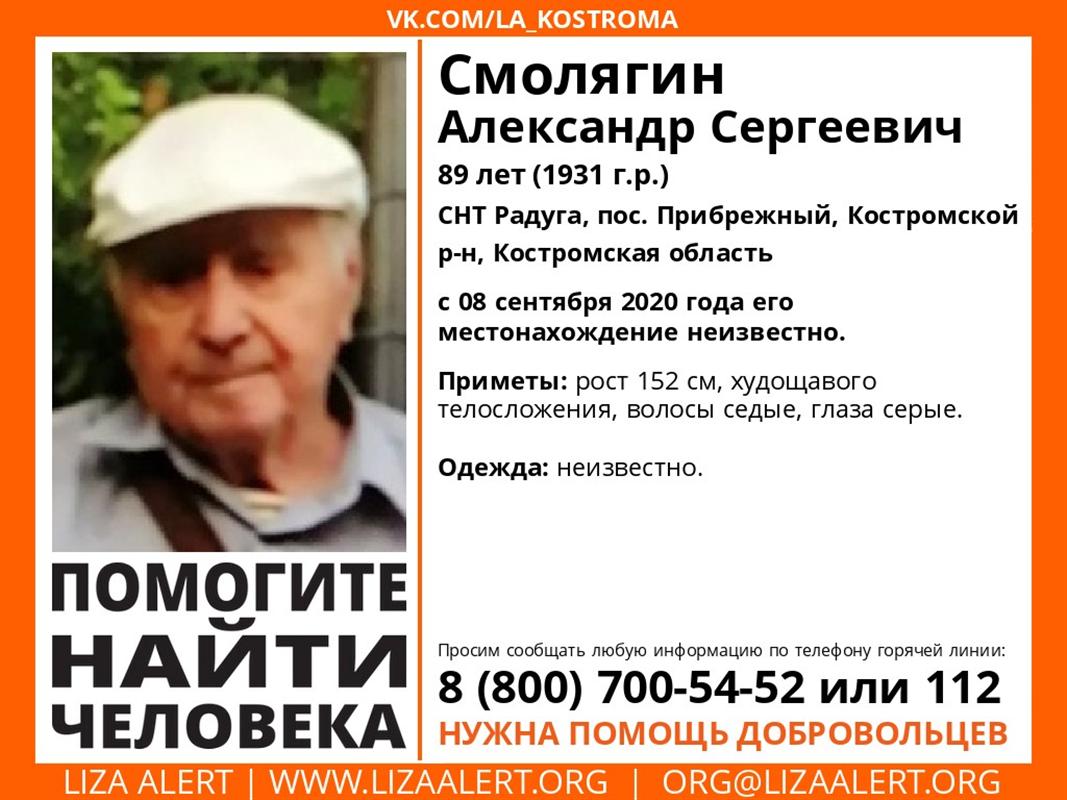 В Костроме уже несколько дней ищут 89-летнего дачника