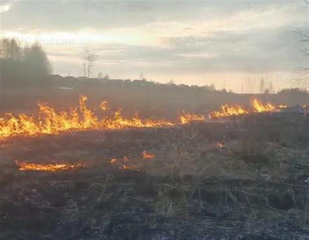 За сутки в Костромской области зарегистрировано 3 пала травы