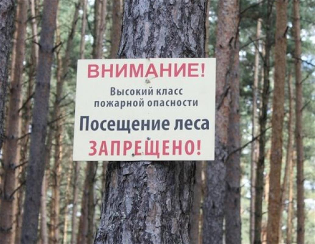 В ближайшие дни в Костромской области сохранится высокий класс пожарной опасности