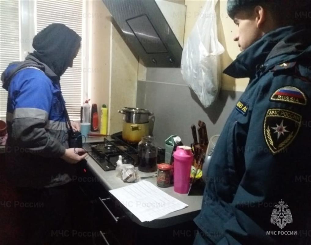 Сотрудники МЧС и специалисты газовой службы проводят инструктажи с костромичами
