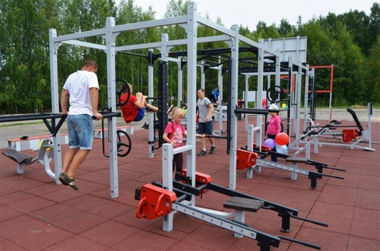 Костромичи в лидерах по выполнению нормативов ГТО
