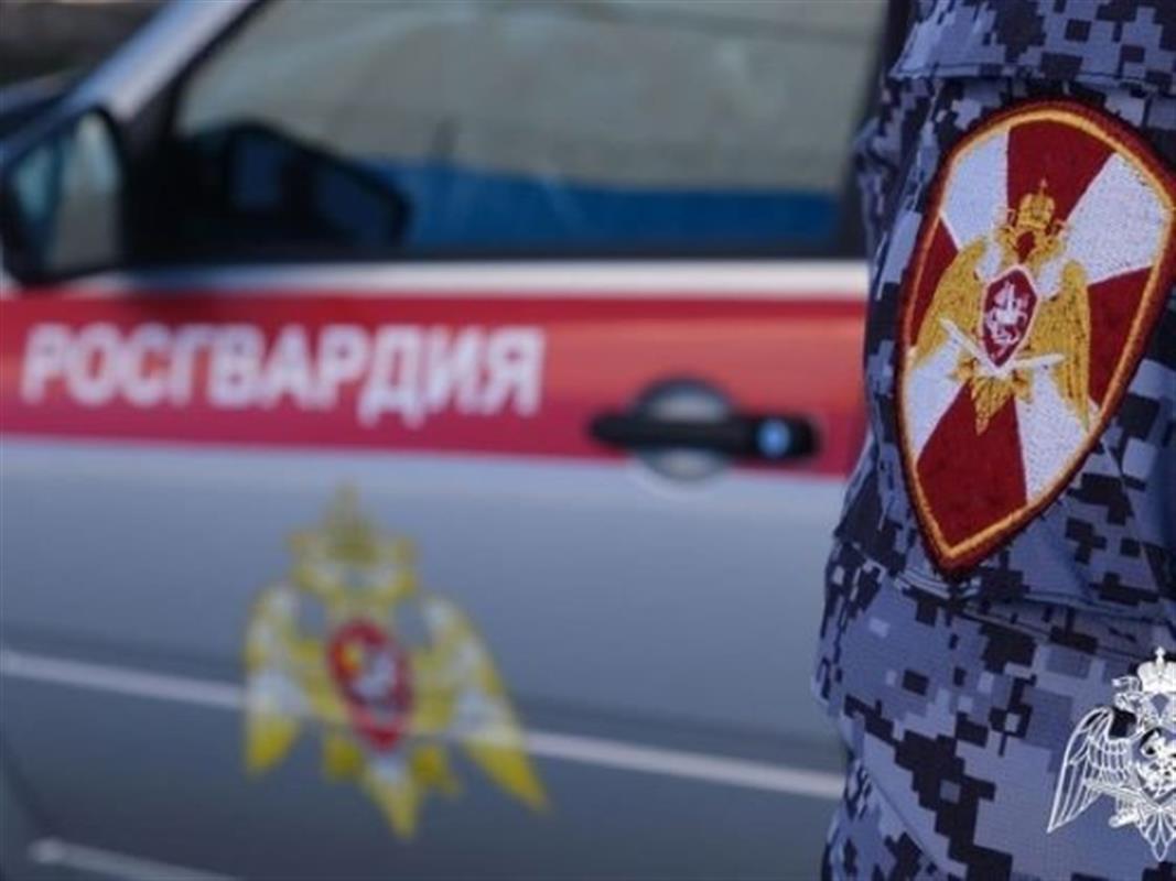 В Костромской области нашли пропавшего мальчика