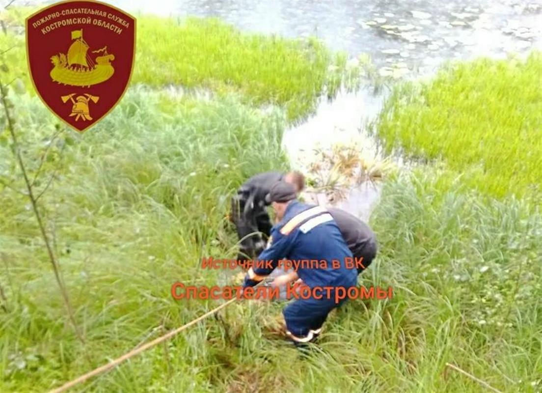 Тело утонувшего в костромском озере рыбака нашли с помощью водолазов
