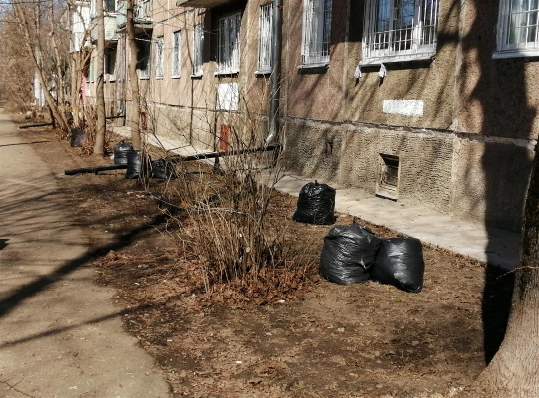 Более 7 тысяч мешков мусора собрали костромичи во время общегородского субботника
