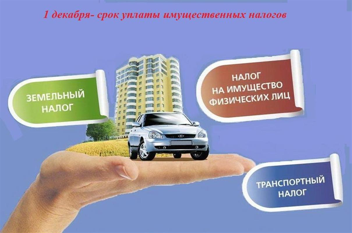 Время платить налоги: костромичам напоминают, как это можно сделать
