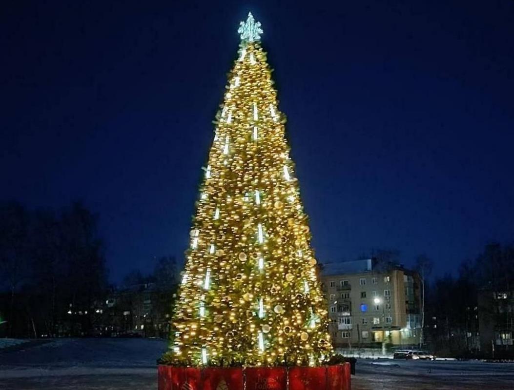 Новогодняя ель из Костромы претендует на участие во всероссийском конкурсе 