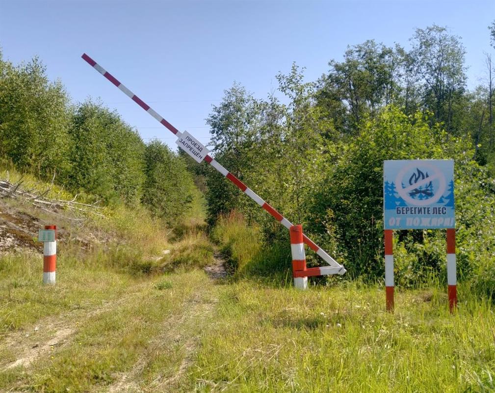 Жаркий август: костромичей предупредили о повышенной пожарной опасности
