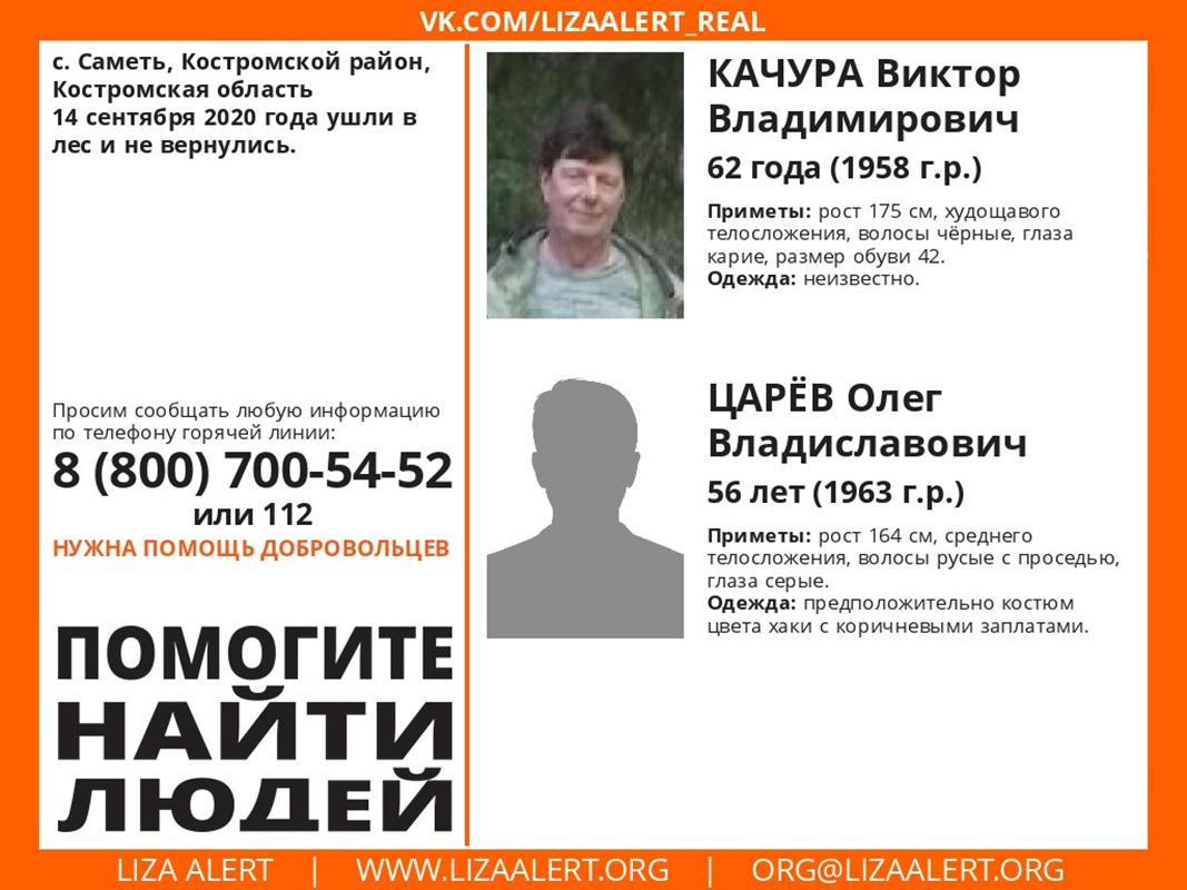 В Костромской области ищут пропавших охотников