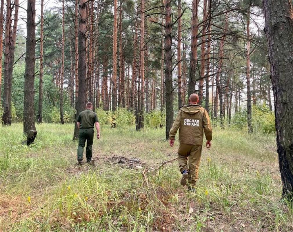 Особый противопожарный режим объявлен в Костроме и по области 
