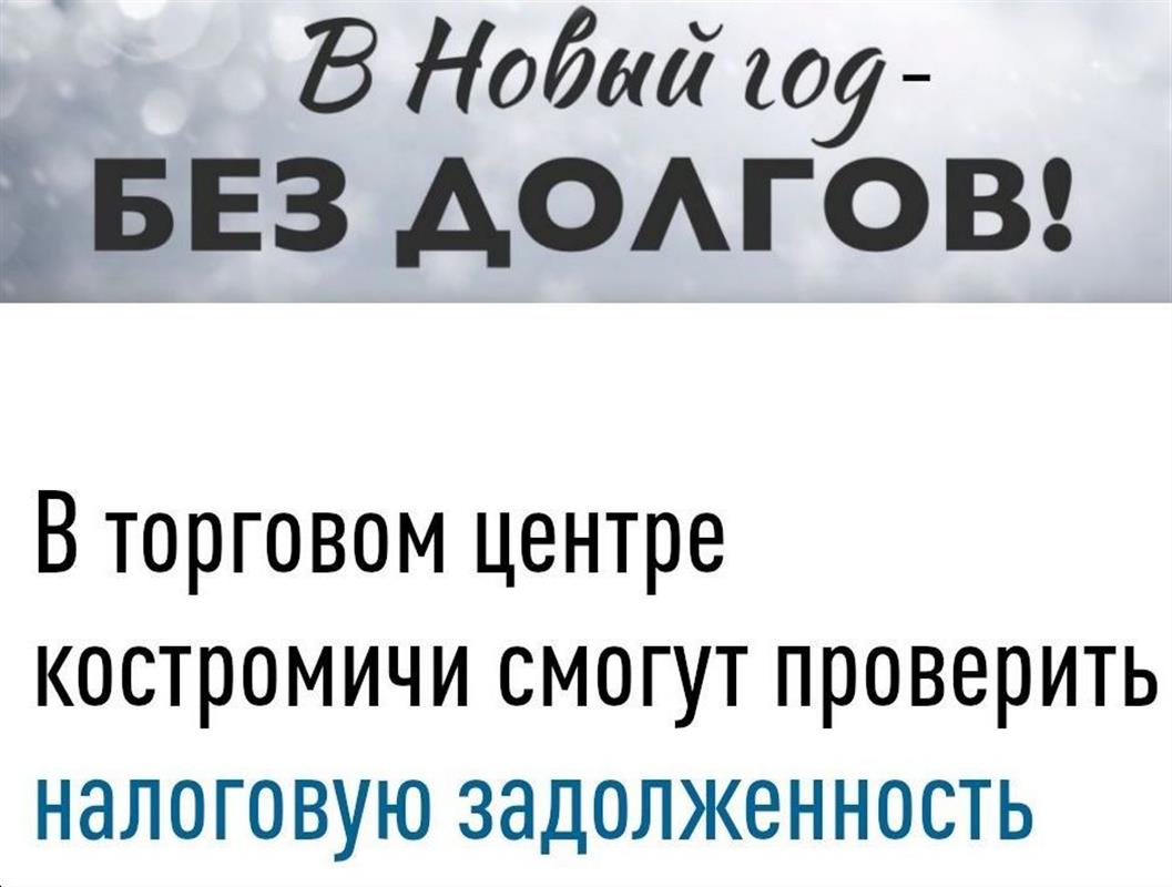 Узнать всё о налоговой задолженности костромичи сегодня могут в мобильном офисе УФНС
