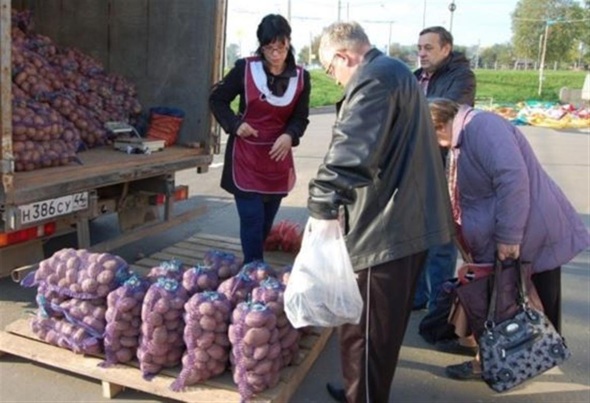 Узнать все о сельхозярмарках костромичи сегодня могут по телефону 