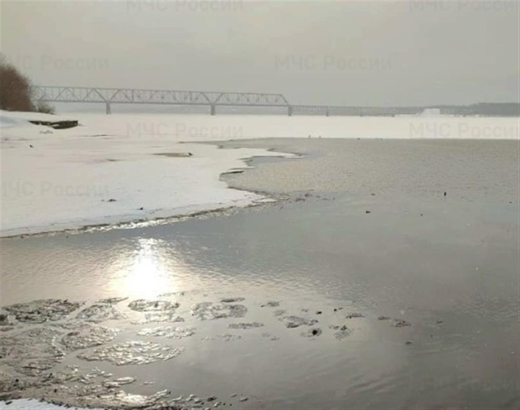 На водоёмах Костромской области увеличивается количество участков с открытой водой 
