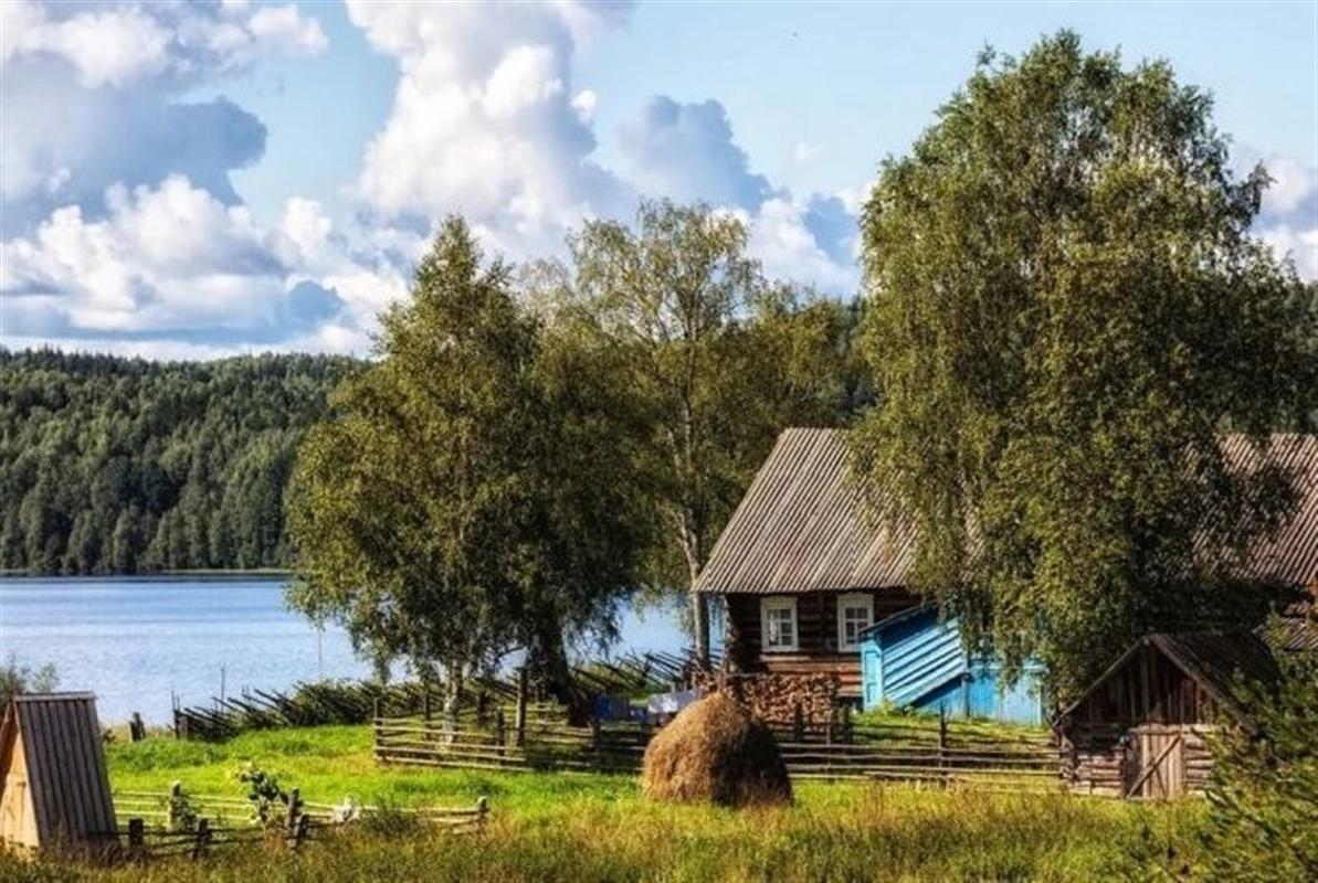Лучшее «молодежное подворье» находится в Костромском районе