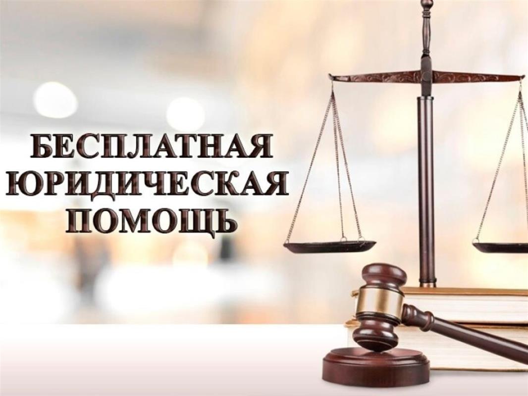 С начала года более 500 костромичей получили консультации юристов бесплатно
