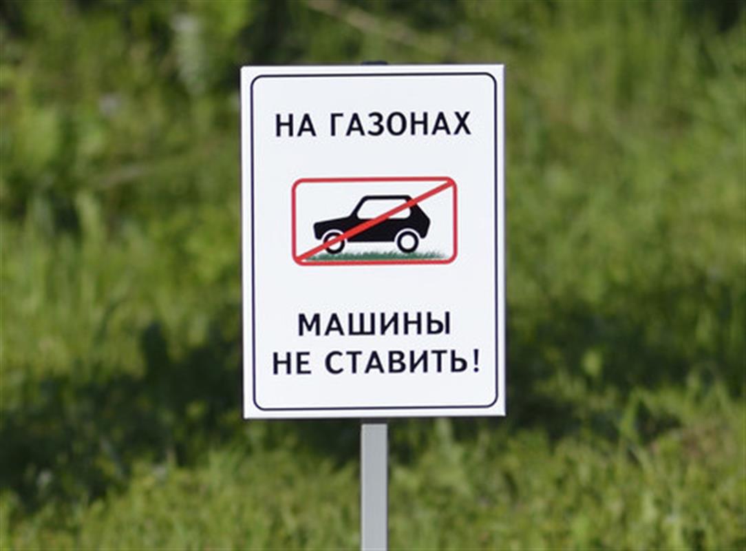 «Народный инспектор» помогает костромичам сберечь газоны от автомобилей во дворах