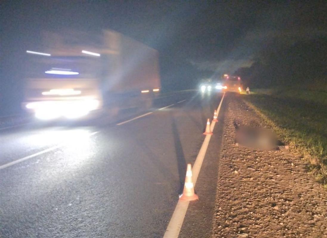 В Костромском районе водитель автобуса сбил насмерть пешехода

