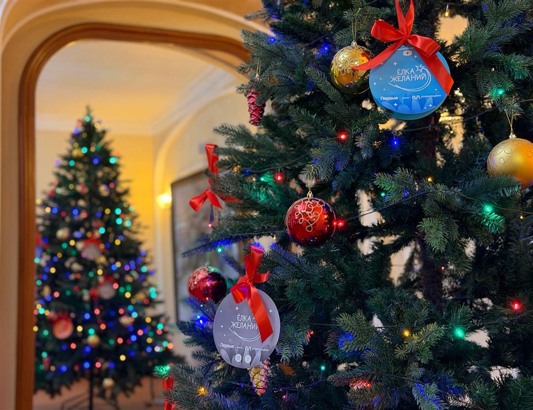В Костромской области стартовала благотворительная акция «Ёлка желаний»