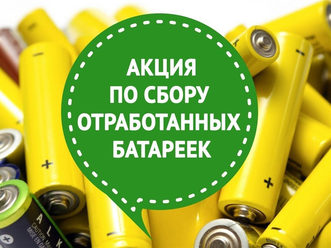 На этой неделе можно сдать использованные батарейки в центре города
