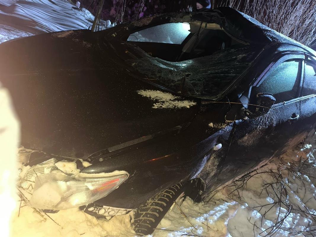 Женщина пострадала при столкновении иномарки с лосем на костромской трассе