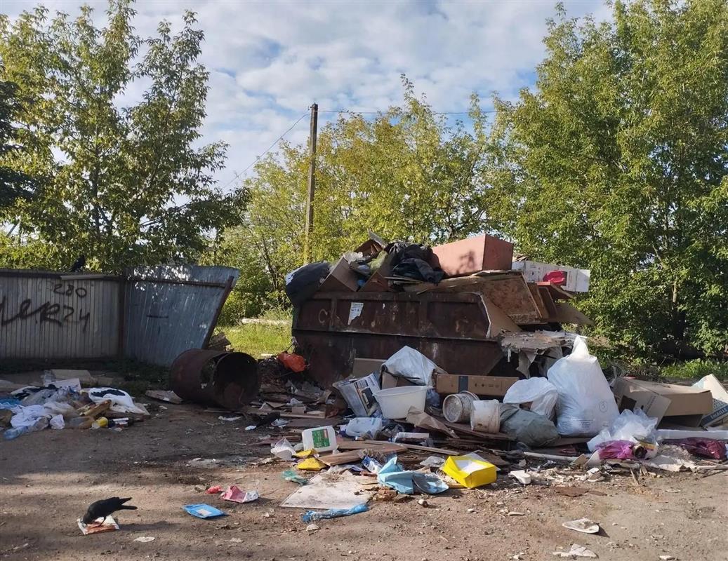 Сутки на уборку: в Костроме контролируют вывоз мусора с контейнерных площадок