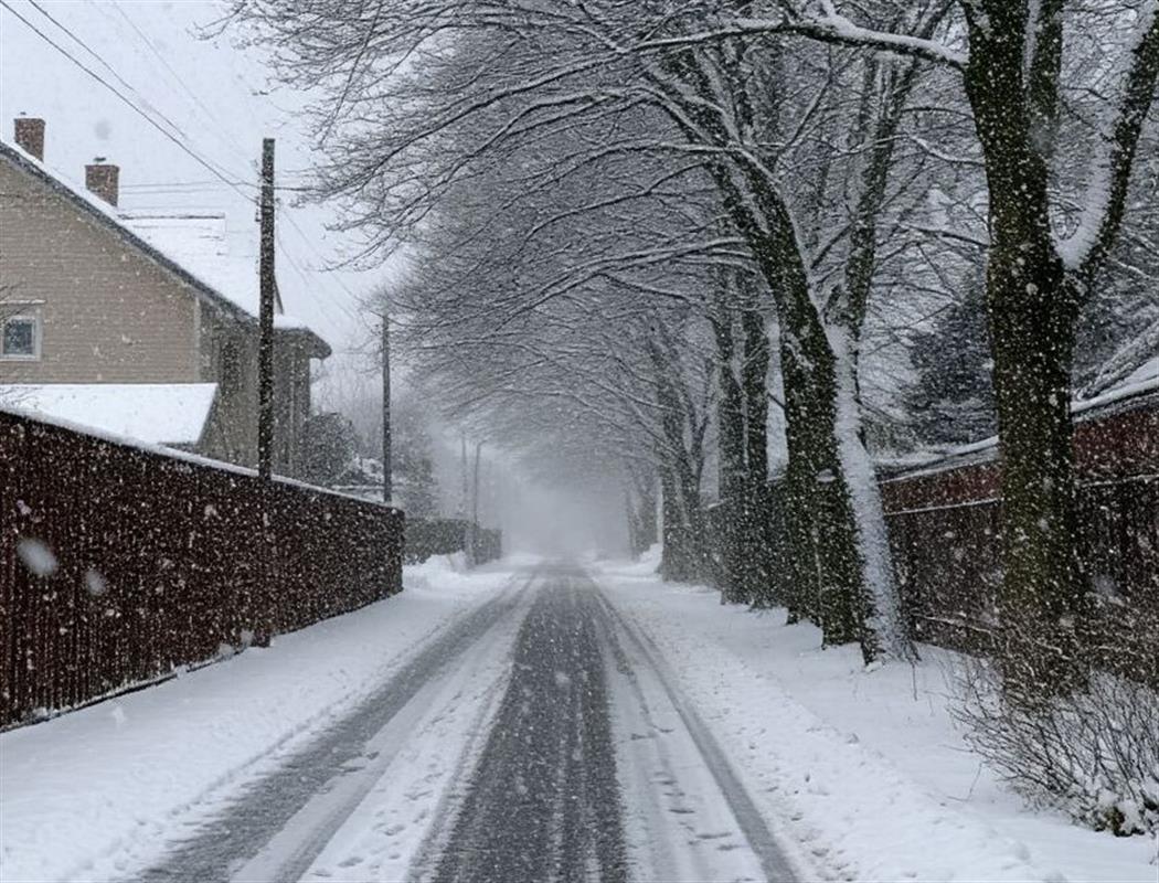 Костромичам напоминают о необходимости позаботиться о своей безопасности в непогоду