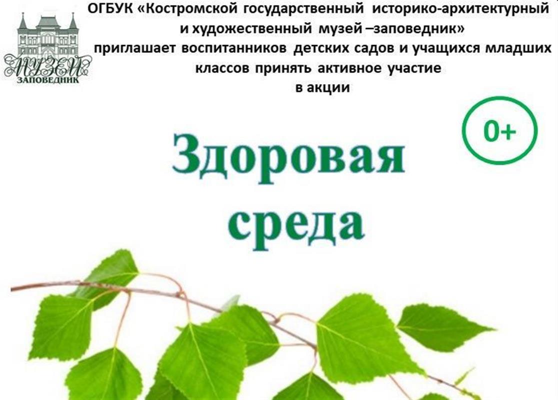 Юные костромичи станут участниками музейной акции «Здоровая среда»