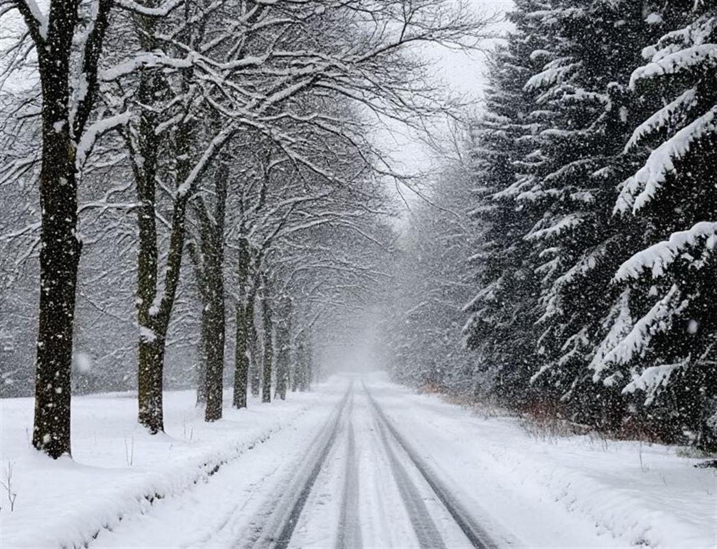 Синоптики предупредили костромичей о снегопаде и усилении ветра