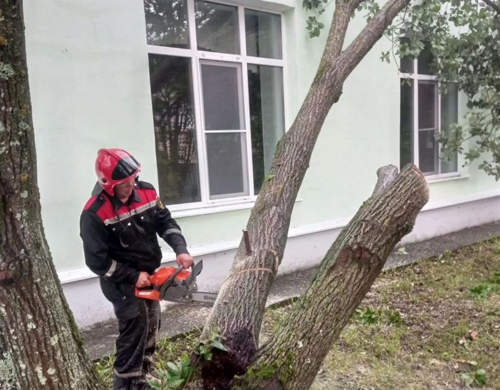 В Костроме специалисты оперативно устраняют последствия непогоды