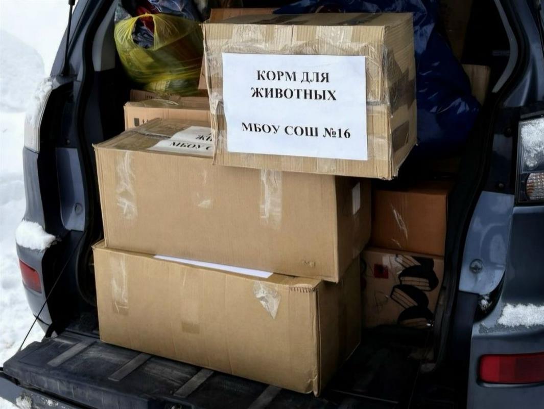 Юные костромичи провели добрую акцию в помощь бездомным животным