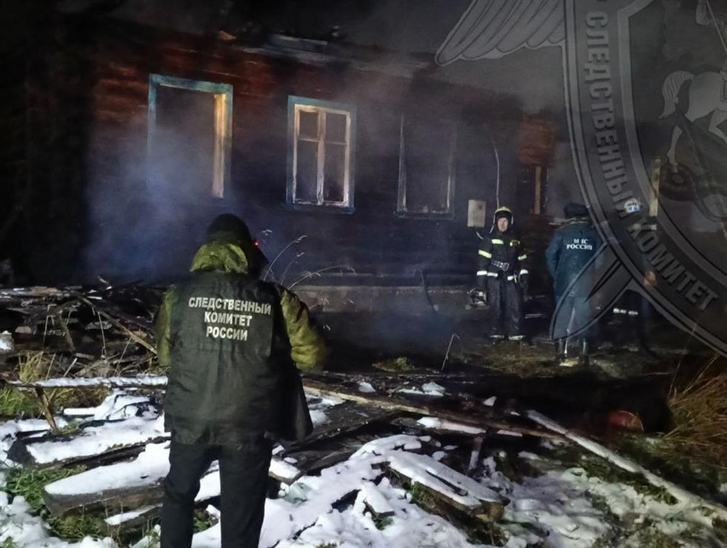 В костромской деревне сгорел жилой дом: погиб 70-летний мужчина