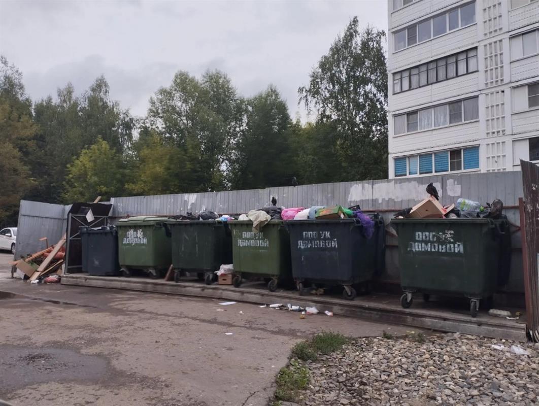 Соблюдение графика вывоза мусора с контейнерных площадок контролируют в Костроме 