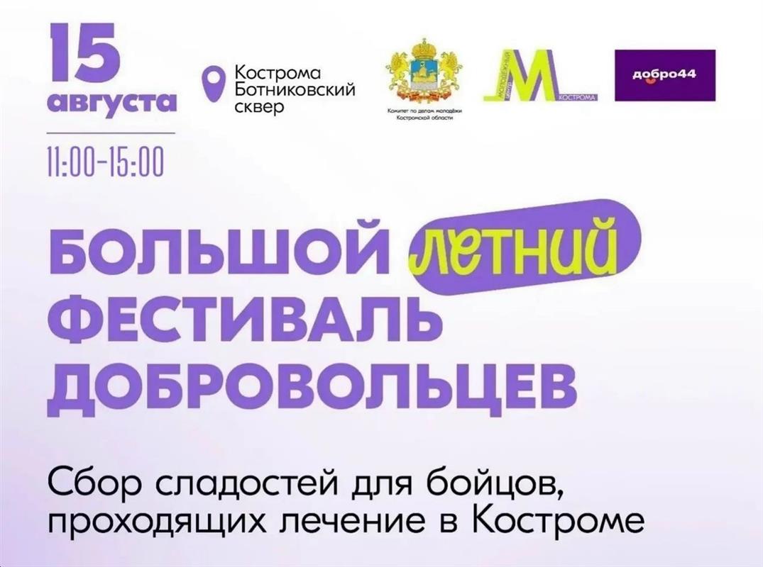 На Большом летнем фестивале добровольцев костромичи примут участие в добрых акциях