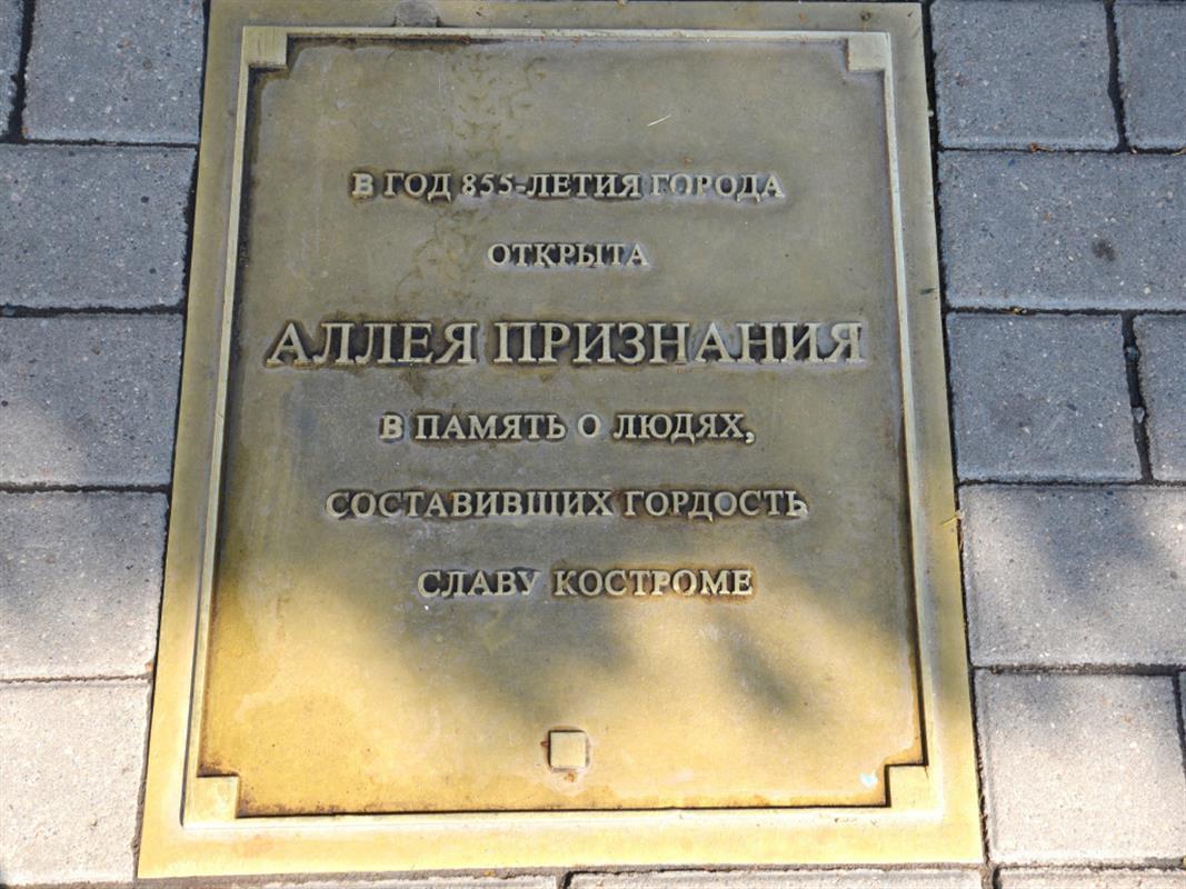 Костромичи выберут имя для нового памятного знака на Аллее признания