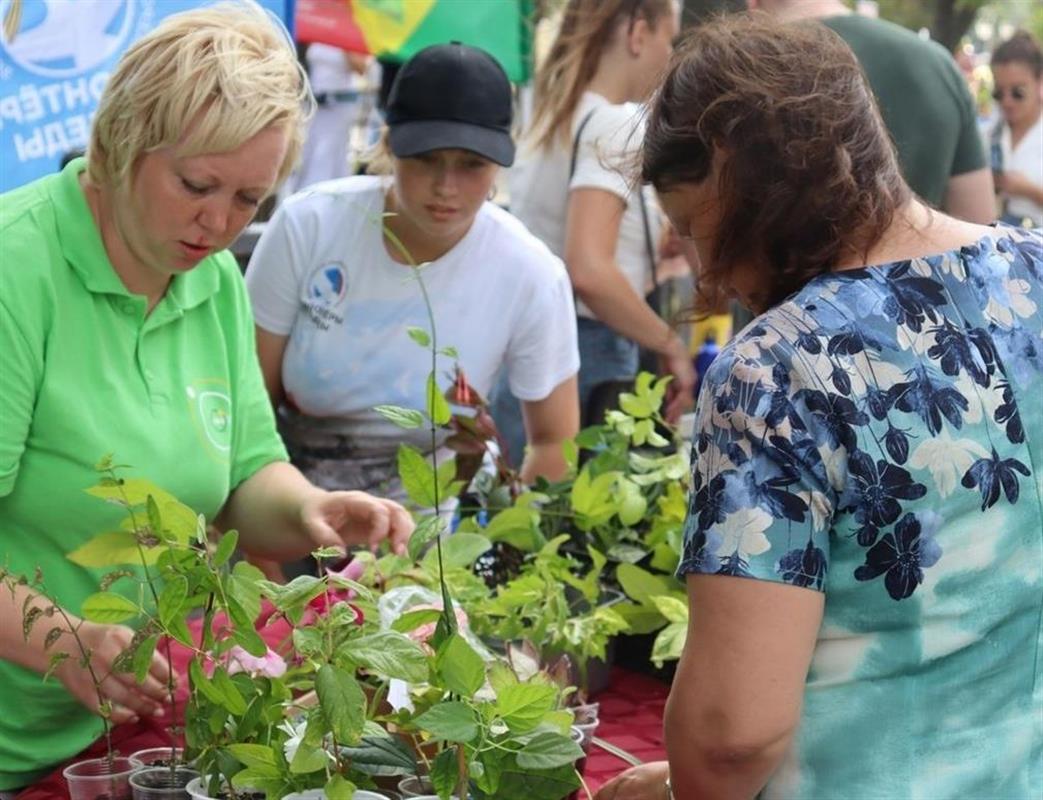 Костромичи станут участниками весеннего обмена комнатными растениями