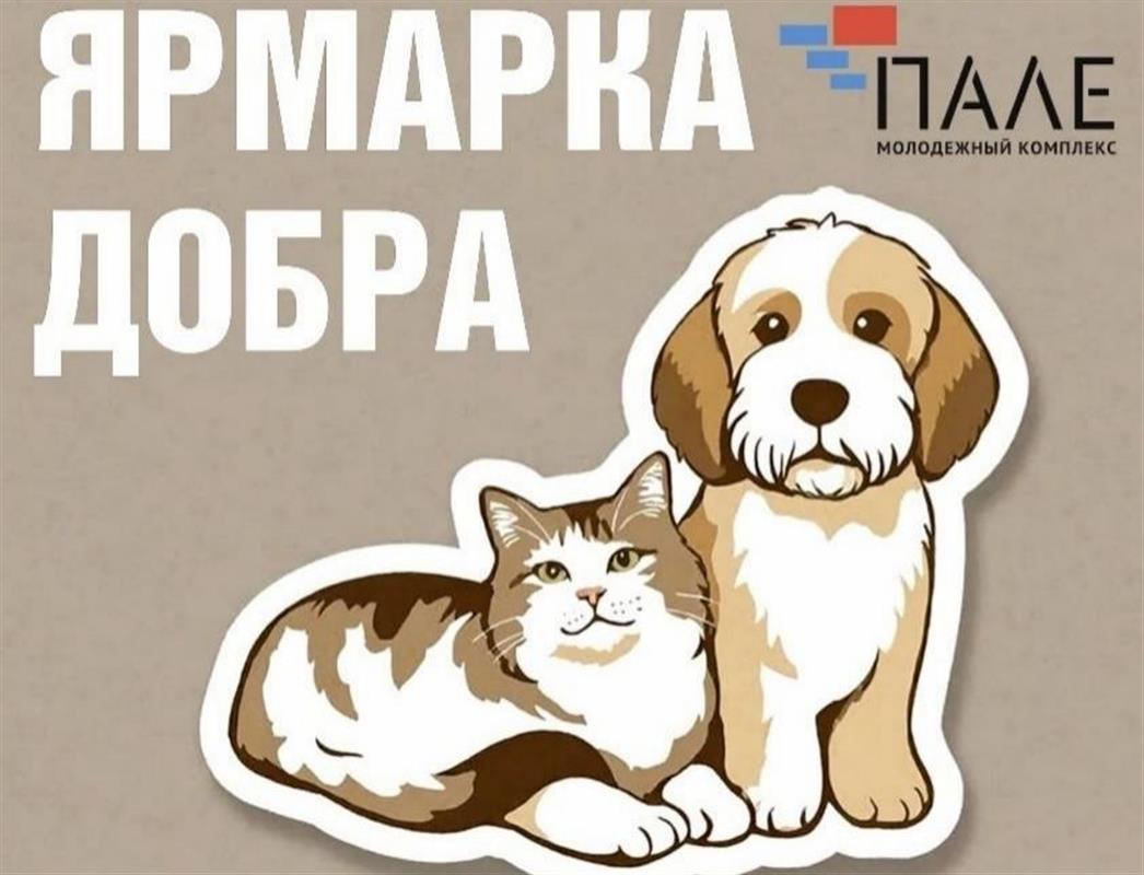 Костромичей приглашают на «Ярмарку добра»