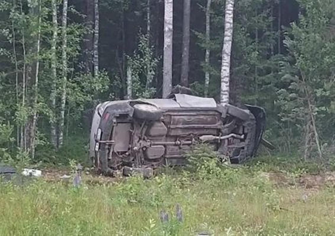 Автомобиль улетел с костромской трассы в кювет: погиб водитель
