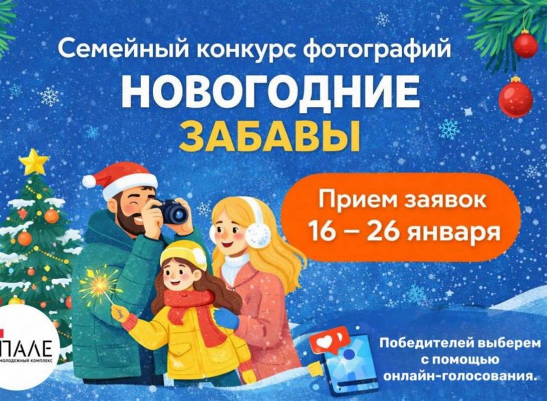 Костромичи покажут тёплые семейные снимки на конкурсе «Новогодние забавы»