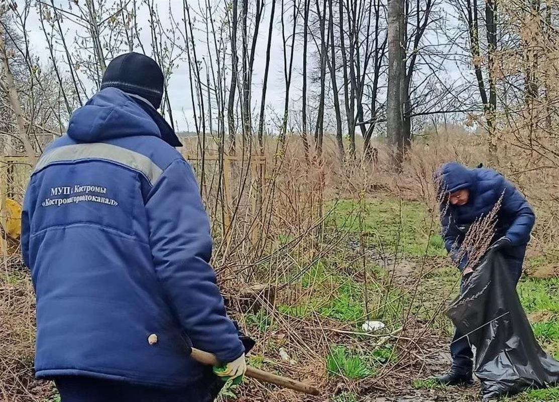 Во время всероссийского субботника в Костроме от мусора очистили ещё более 40 территорий 
