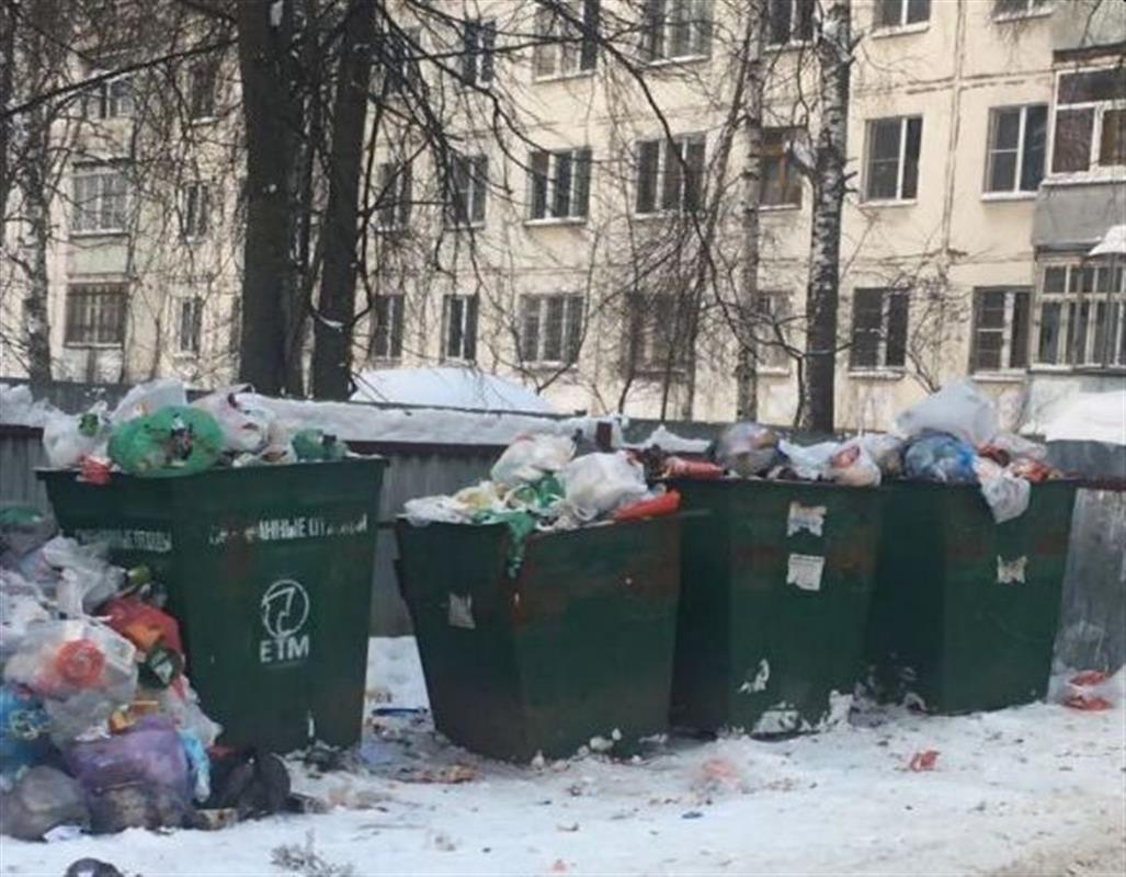 О скопившемся мусоре на «контейнерках» костромичи могут сообщить на «горячую линию»