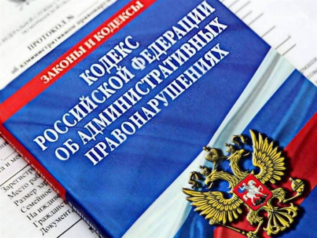 За перебранку во дворе двое жителей Костромской области заплатят штрафы